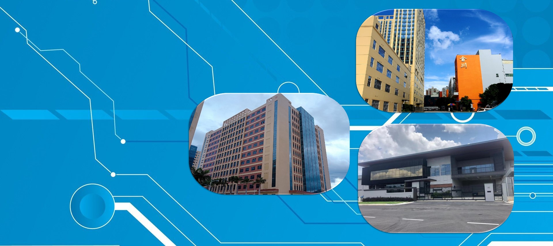 Company Profile