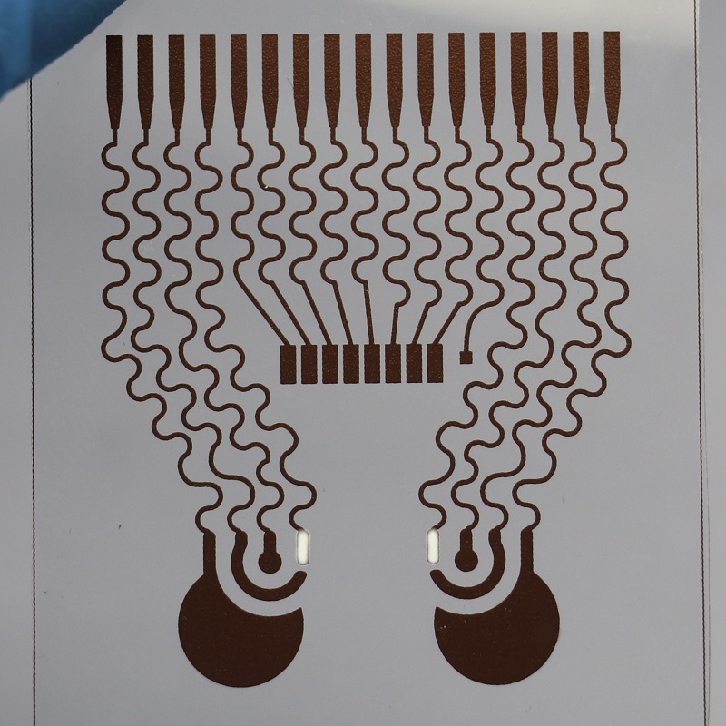 Sweat Biosensor